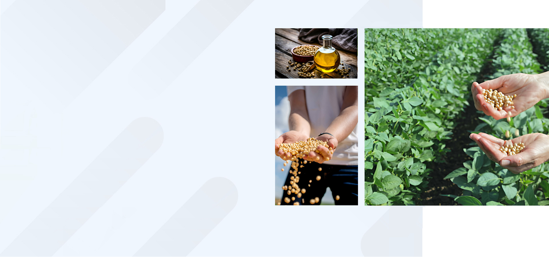 Your Reliable Partner in Agricultural, Oil-Based, and Chemical Trading
